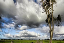 九游会：体坛名场面 ｜吴艳妮真是人来疯，人越多她越兴奋！.