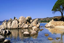 九游会：WTA奥斯汀站：袁悦组合逆转击败张帅组合夺冠.